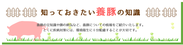 知っておきたい養豚の知識