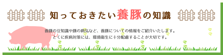 知っておきたい養豚の知識